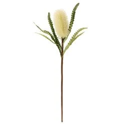 Dunelm Cream Ashby's Banksia Stem 3 Pack -Dunelm Sales Shop 1000184182 alt02