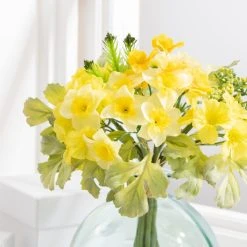 Dunelm Primula And Narcissi Bundle Yellow 30cm -Dunelm Sales Shop 30615914 alt02