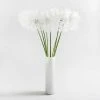 Dunelm Dandelion Stem 106cm -Dunelm Sales Shop 30632103