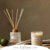 The Edited Life Wellness 200ml Oil Bergamot Reed Diffuser -Dunelm Sales Shop 30716619