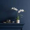 Dunelm Cream Orchid In Cement Pot 2 Dunelm Cream Orchid In Cement Pot -Dunelm Sales Shop 30724535