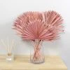 Dunelm Dried Pink Sun Spear Bundle -Dunelm Sales Shop 30730254