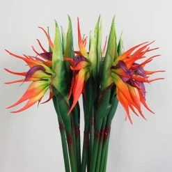 Dunelm Green Bird Of Paradise Stem -Dunelm Sales Shop 30730279 alt01