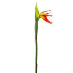 Dunelm Green Bird Of Paradise Stem -Dunelm Sales Shop 30730279 alt02