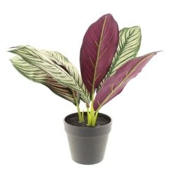 Dunelm Artificial Chinese Evergreen In Black Pot 30cm -Dunelm Sales Shop 30752429 alt03