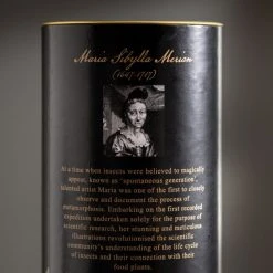 Natural History Museum Botanical Paradise Diffuser 200ml -Dunelm Sales Shop 30757813 alt04