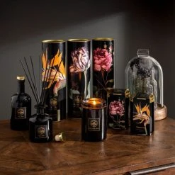 Natural History Museum Botanical Paradise Diffuser 200ml -Dunelm Sales Shop 30757813 alt05