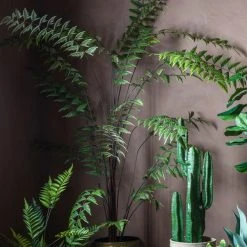 Cedar & Sage Beau Butterfly Fern