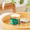 Wax Lyrical Tropical Island Single Wick Candle -Dunelm Sales Shop 30766529