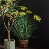 Cedar & Sage Chafford Grass 5 Heads Yellow -Dunelm Sales Shop 30776680