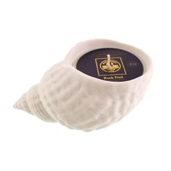 Natural History Museum Whelk Rock Pool Candle