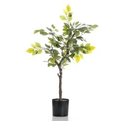 Scottish Everlastings 70cm Real Touch Mini Ficus Tree -Dunelm Sales Shop 30797232 alt02