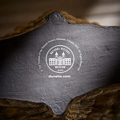 Natural History Museum Resin Shell Vase 12 Natural History Museum Resin Shell Vase -Dunelm Sales Shop 30800585 alt04