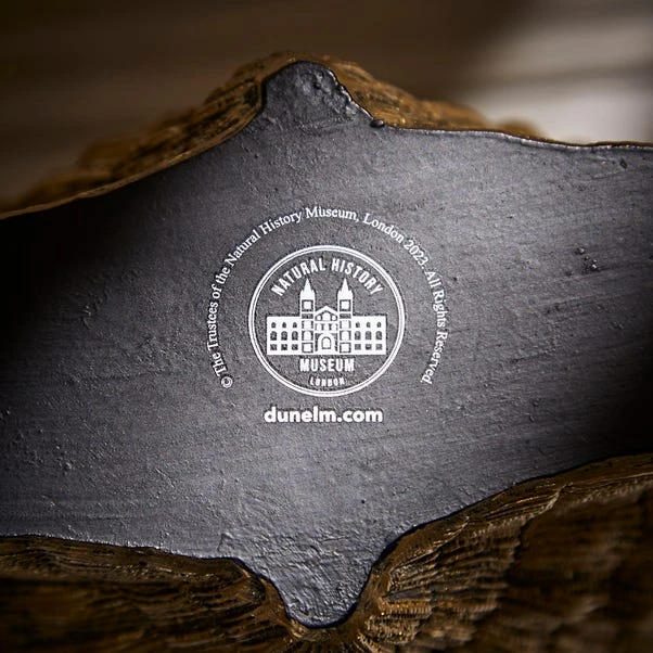 Natural History Museum Resin Shell Vase 7 Natural History Museum Resin Shell Vase - Image 5