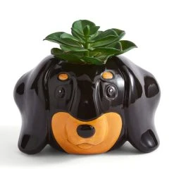 Dunelm Dachshund Dog Plant Pot