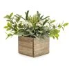 Dunelm Lily And Herbs In Wooden Box 2 Dunelm Lily And Herbs In Wooden Box -Dunelm Sales Shop 30823509