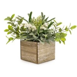 Dunelm Lily And Herbs In Wooden Box