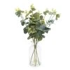 Dunelm 40cm Eucalyptus In Glass Vase -Dunelm Sales Shop 30823510