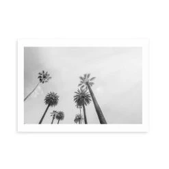 East End Prints 8 Palms Print -Dunelm Sales Shop 30843593 alt01